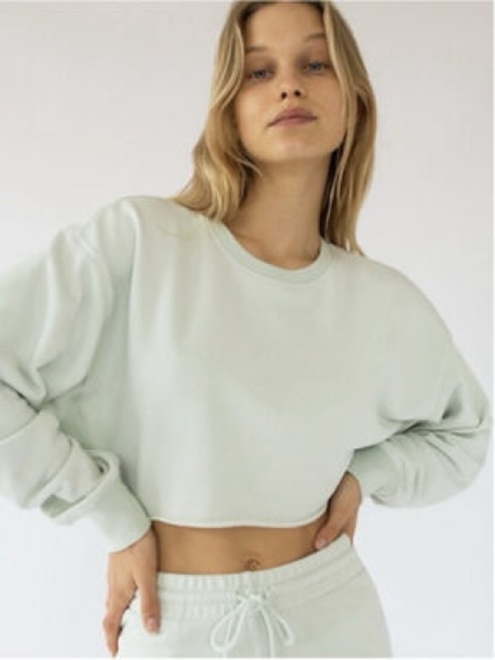 Tala Cropped Crewneck Sweatshirt - Pale Mint